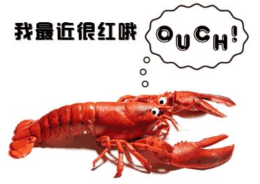 去哪里看球比较好,去哪看球最好