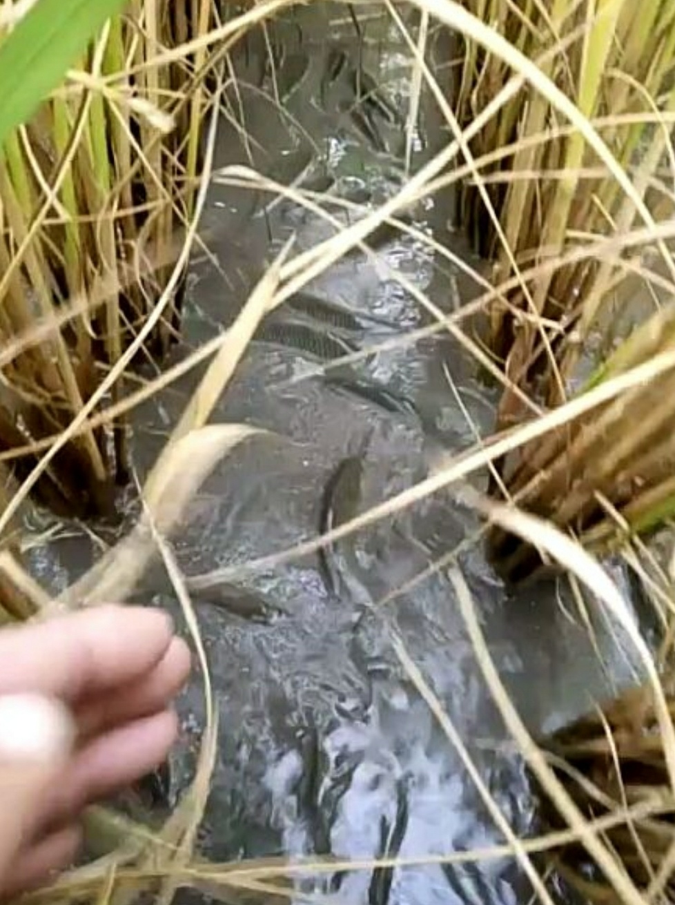 打工想发财有什么门路,一个年轻人的致富思维