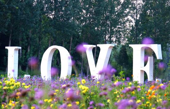 紫海香堤香草艺术庄园,紫海香堤香草艺术庄园视频