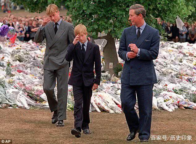 威廉谈戴妃哭了,威廉谈戴妃哭了视频