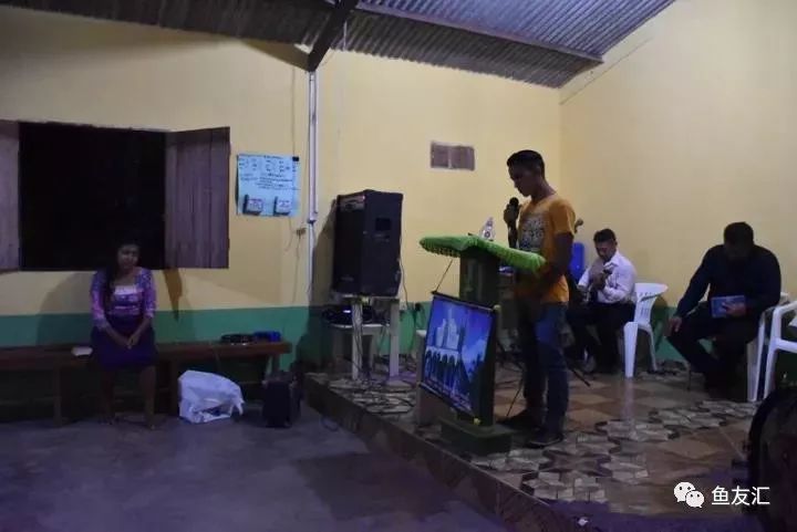 特隆贝塔如何饲养,特隆贝塔半皇与红彩区别