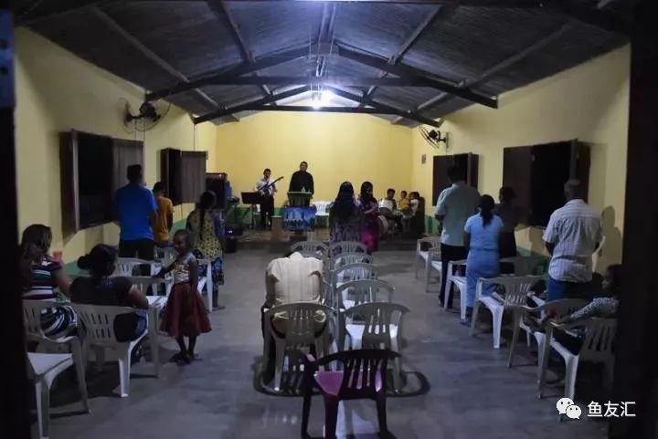 特隆贝塔如何饲养,特隆贝塔半皇与红彩区别