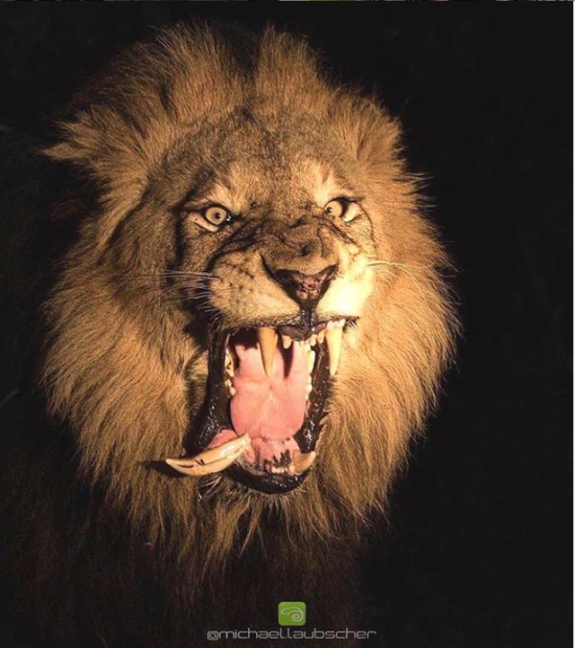 11张照片告诉你大自然的可怕,大自然细思极恐的照片