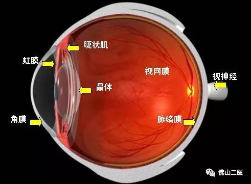 爱眼护眼保护眼睛的科普小视频,6月6日全国爱眼日护眼从小事做起