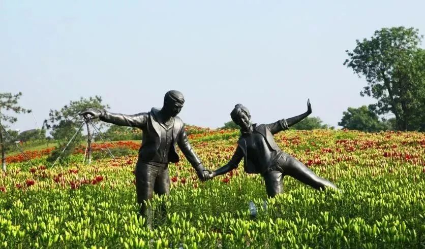 来赏花郁金香花展已开启,春日踏青花博会