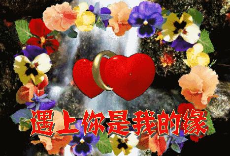 端午节来临之际祝友友们心情愉快,端午节快到祝大家开心快乐每一天