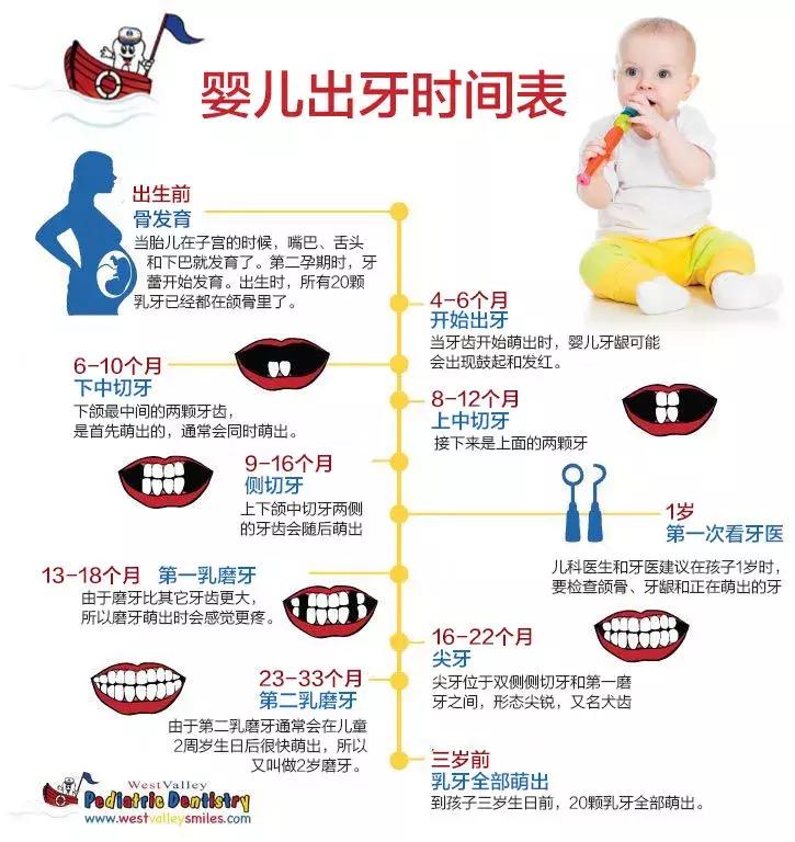 儿童治疗牙齿科普动画,孩子牙齿成长全过程