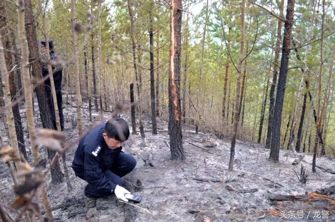 「龙江警风」烈火中逆行的“警察蓝”