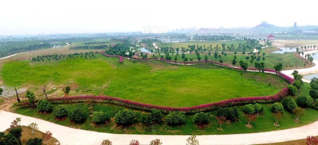 世界杯任意球大赛贝克汉姆,贝克汉姆罗纳尔多世界杯