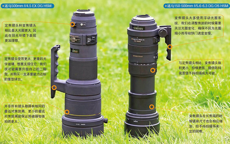 鎯犳儬鎽勫奖浣滃搧娆ｈ祻,鎯犳媿鎽勫奖