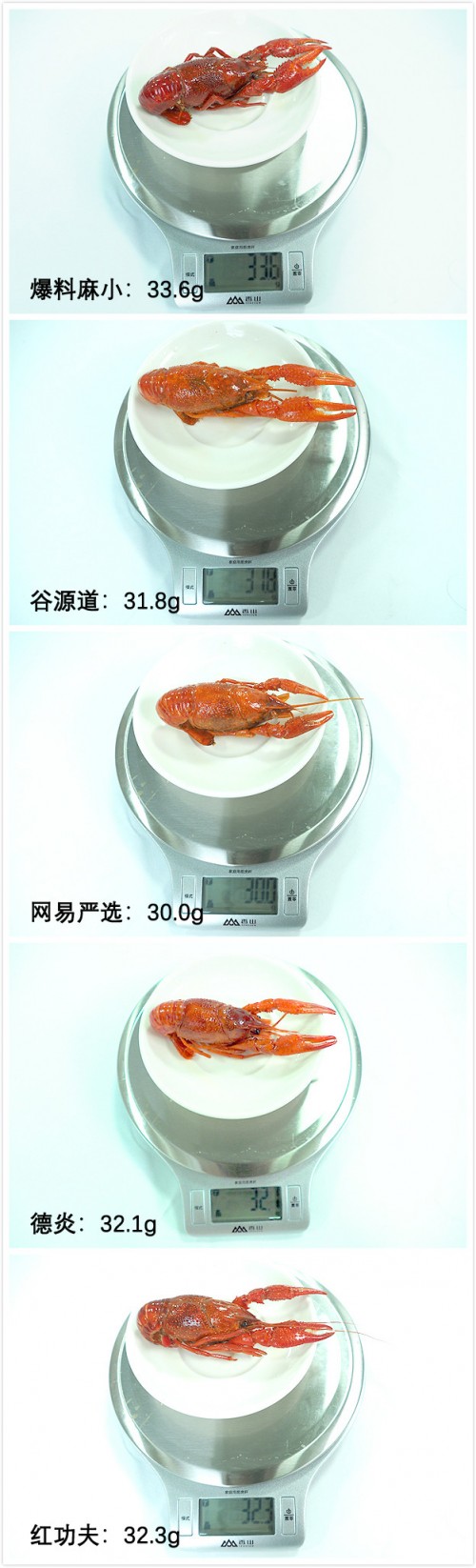 网红小龙虾检测合格率,小龙虾试吃完整版