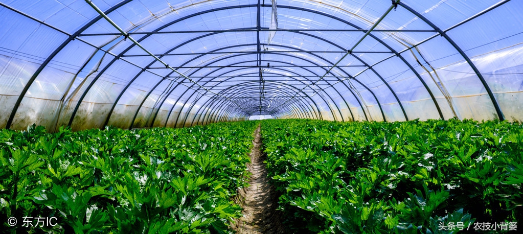 怎么选购生物菌剂,市场上微生物菌剂都什么价位