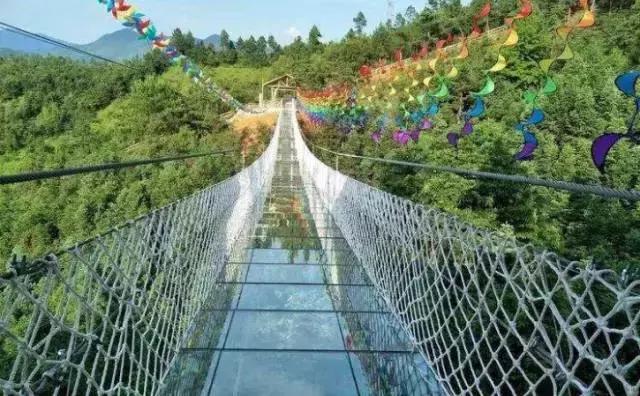 赣州哪座山有玻璃栈道,江西赣州三百山玻璃栈道