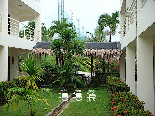 帕劳海底之旅,帕劳的海底