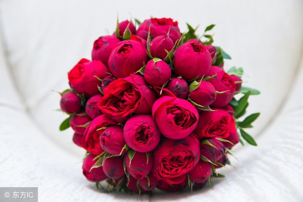 生活小常识收藏,各种实用的生活小常识