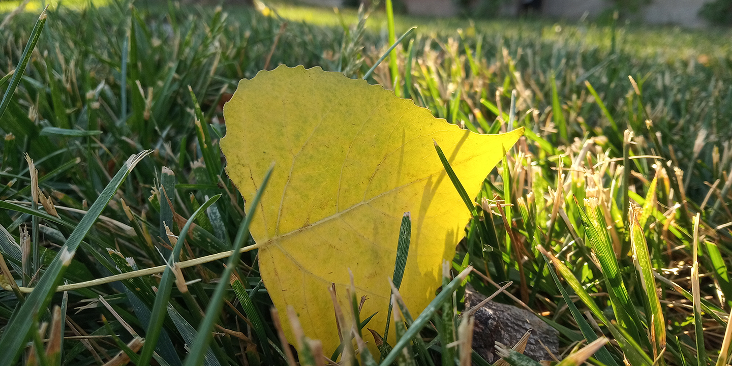 红米手机600元测评,评测红米6a