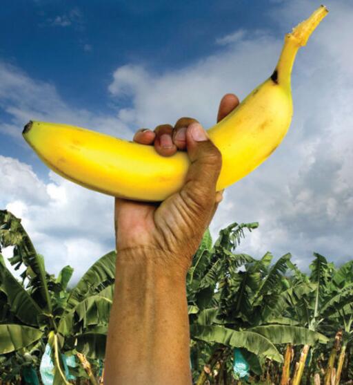 一场足球赛引发的两国战争,一场足球比赛竟会引发世界大战