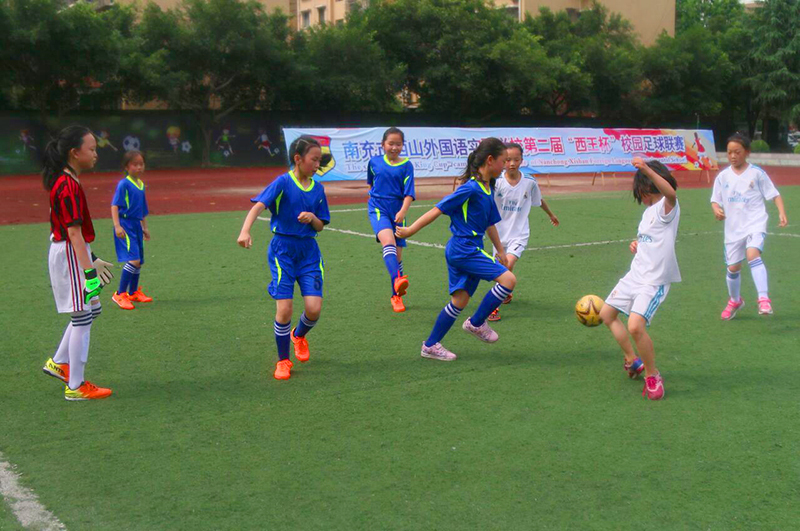 竞技绿茵玩转足球,竞技绿茵闪亮未来