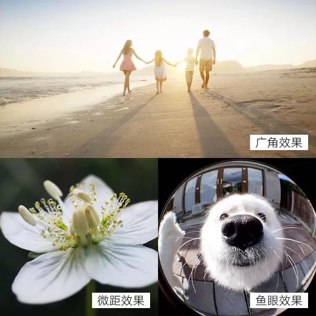 爆款手机摄影教程道具视频,推荐一款简单的摄影工具