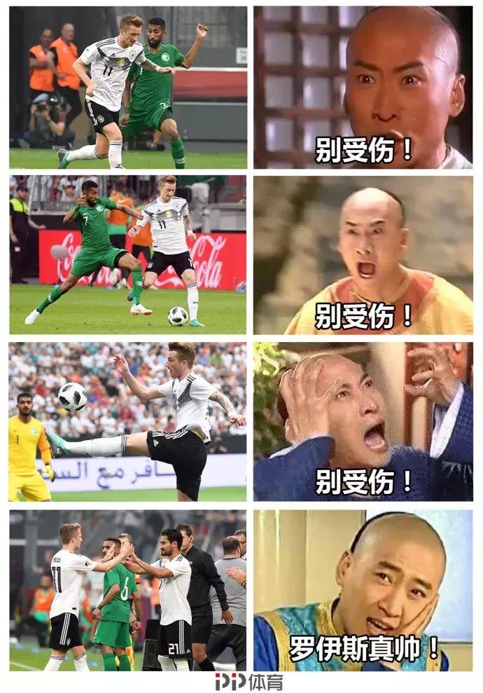 世界杯肉肉的仙人球,世界杯胖嘟嘟