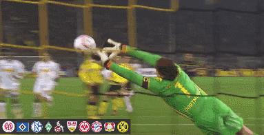 世界杯肉肉的仙人球,世界杯胖嘟嘟