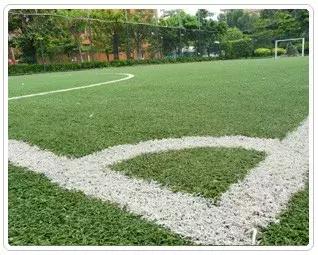 世界杯最好的足球场,中国的世界杯足球场在哪里