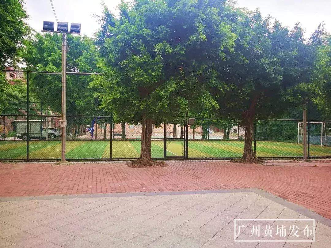 世界杯最好的足球场,中国的世界杯足球场在哪里