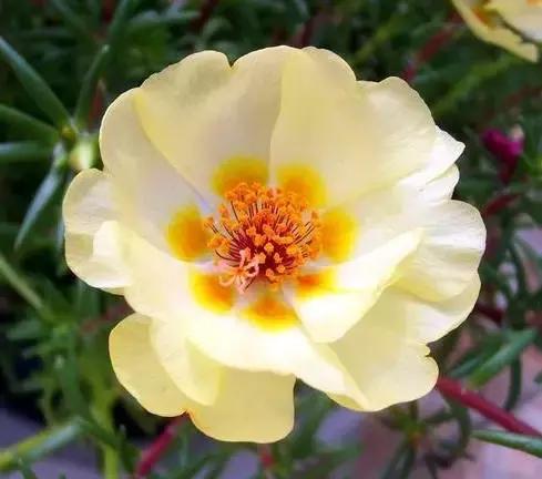 明天是父亲节祝天下父亲节日快乐,父亲节提前祝天下的父亲节日快乐