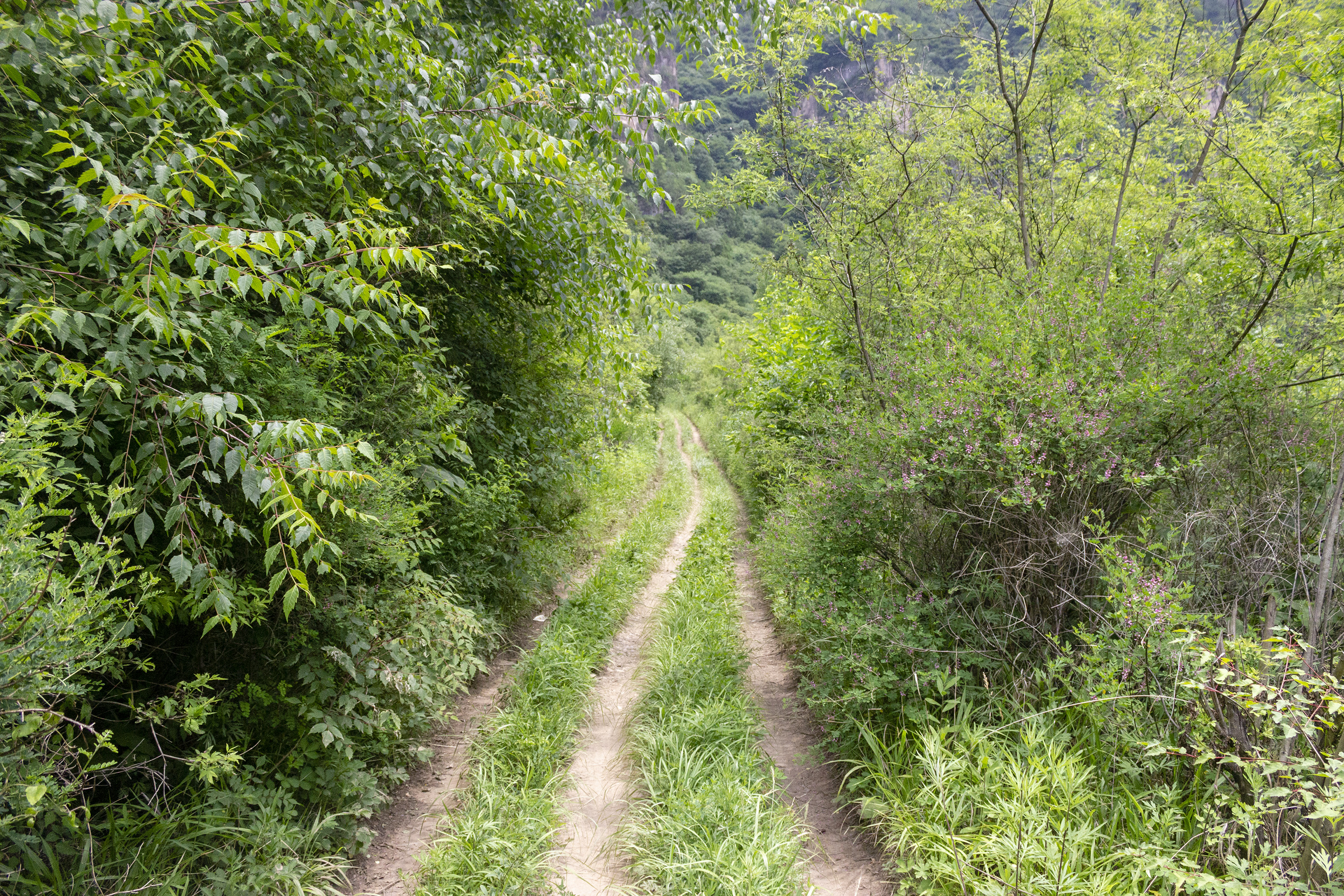 摩旅翻越秦岭,摩旅西岭雪山