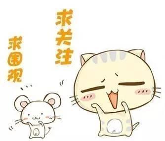 2020欧洲杯欧洲红魔,欧洲红魔2022世界杯