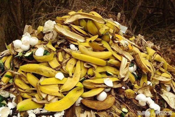 自制植物肥料制作方法,自制多肉植物的肥料