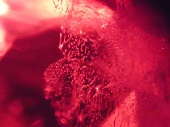 缅甸红宝多少钱一克,3克拉缅甸红宝