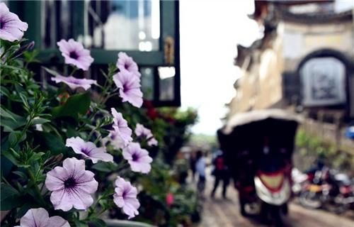 腾冲文明旅游手册：主要旅游产品指导价一并告知