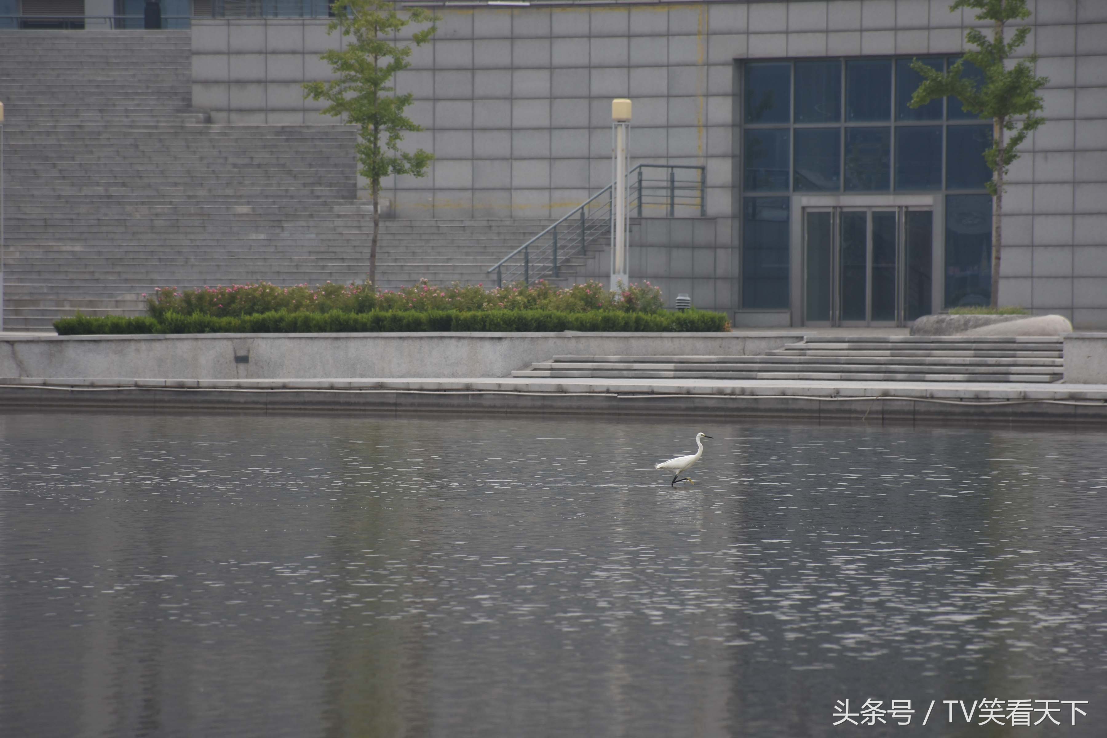 焦作“新体育馆”，有什么好玩的？睁大眼睛！跟我来！