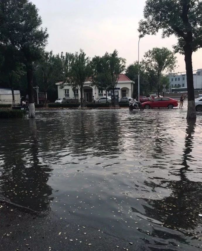 天津多云转小雨,天津阵雨过后