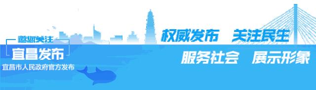 宜昌成人羽毛球培训班,宜昌哪里可以学攀岩