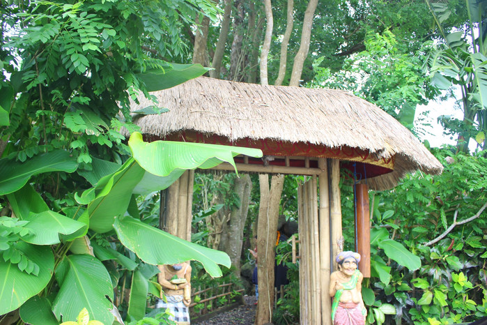 巴厘岛怎么玩省钱又舒服,巴厘岛攻略自由行详细