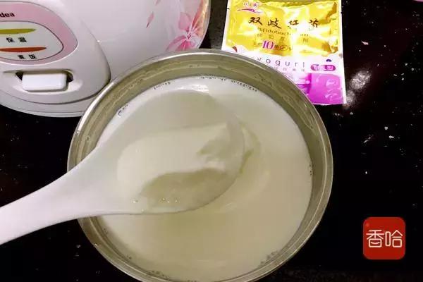 怎样用电饭煲制作酸奶教程,电饭煲自制酸奶的家常做法