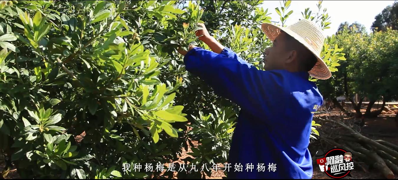 中业兴融助力生态养殖户奔向小康之路