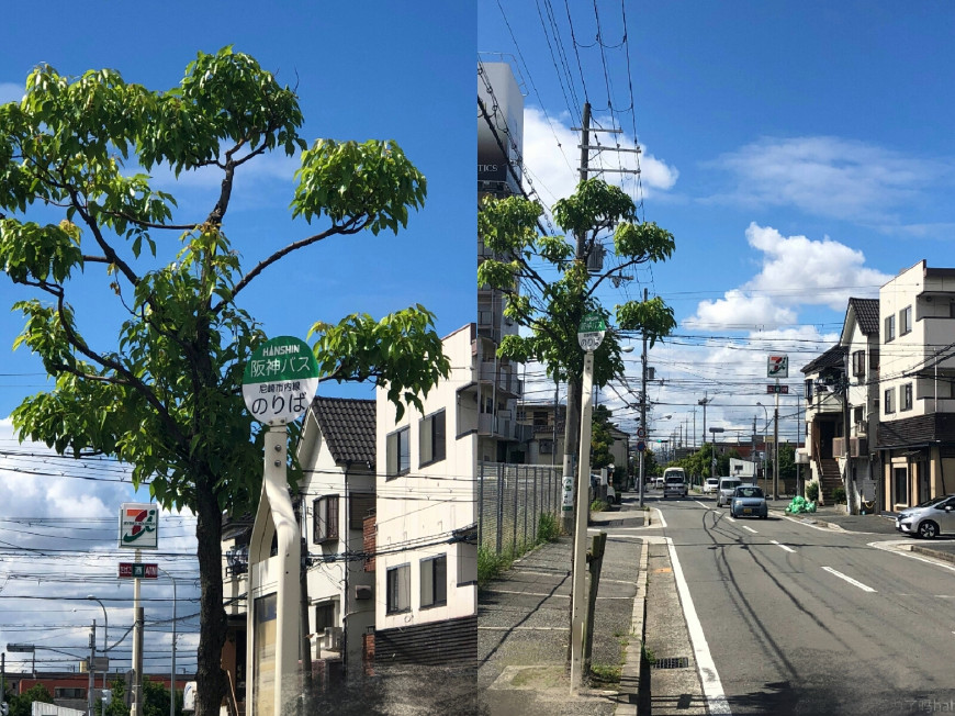 来日本旅游你会发现日本女人很显年轻,日本这位妈妈2个字真相了