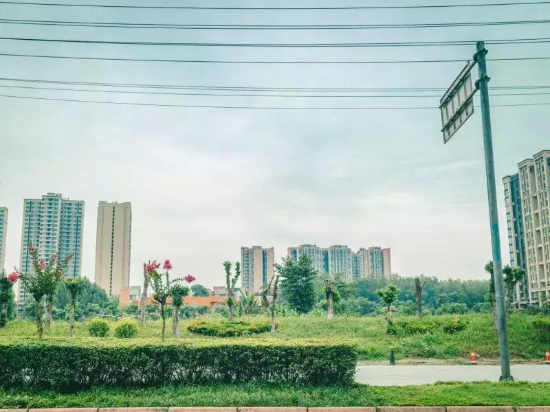 水蜜桃8块一斤,西瓜桃子8元