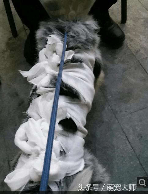 乳腺肿瘤秒懂百科,5分钟了解肿瘤