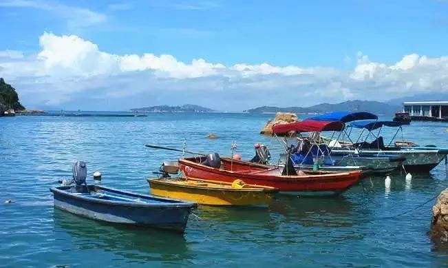 今年9月，郑州每天1趟动车到香港！要不要去香港逛逛？