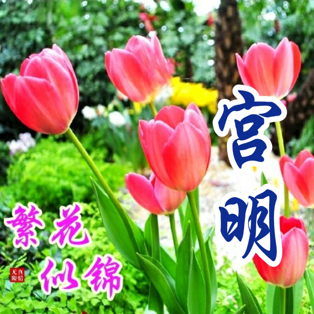 国画山水聚财聚水生财图片,聚水为财图片