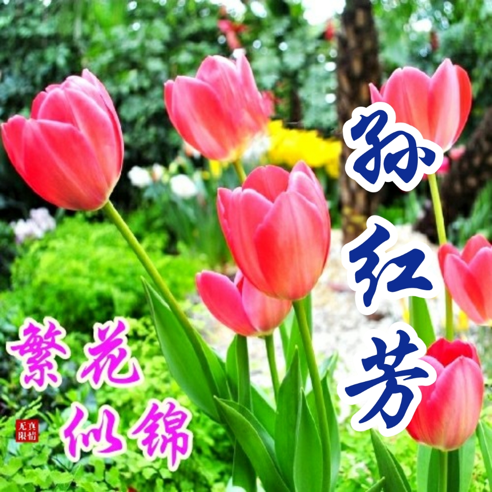 国画山水聚财聚水生财图片,聚水为财图片