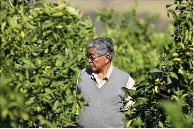 总有一款适合你春耕备耕进行中,现代农业案例分享