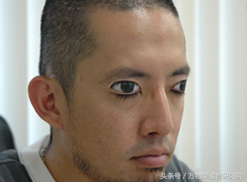 涓栫晫鏉樋鏍瑰环鐗╄祫,涓栫晫鏉壒鏁堣嵂