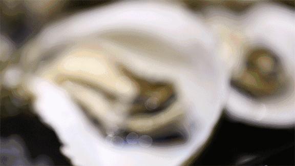 武汉最贵贵贵贵贵贵的土豪餐厅！吃过的都是有钱人！