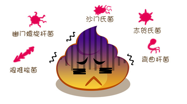 肠道健康菌群与孕产妇的关系,孕产妇必读