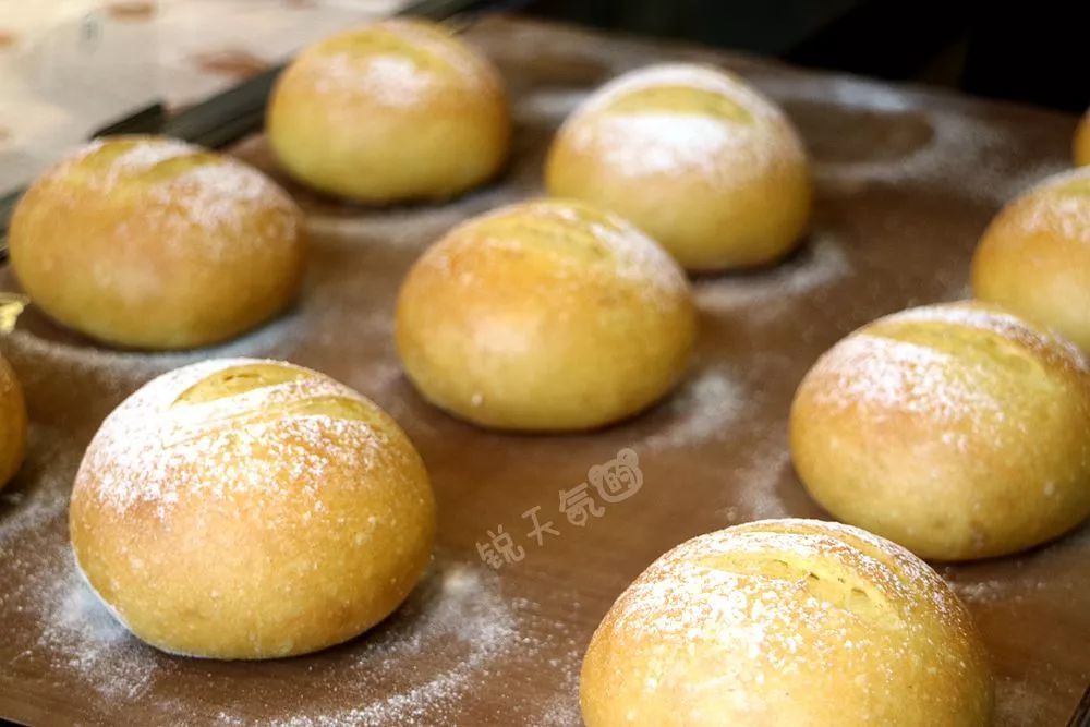 涓栫晫鏉湅涓嶅埌,濂ラ粵涓借但鏈笘鐣屾澂